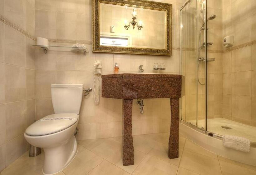 １ベッドルームアパートメント, Dworek Hetmanski