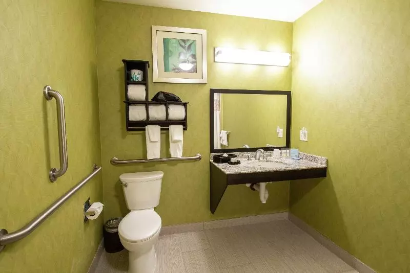キングサイドベッドのスタンダードワンルーム, Hampton Inn & Suites Salt Lake City/farmington