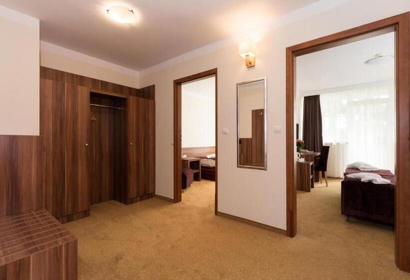 Трехместный Номер Стандарт с Балконом, Jantar Medical Spa