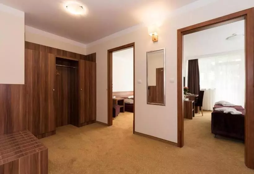 Standard Kolmen Hengen Huone Parveke, Jantar Medical Spa