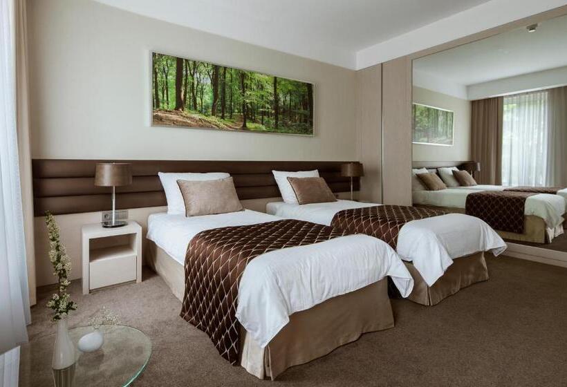 Номер Стандарт, Narvil Conference & Spa