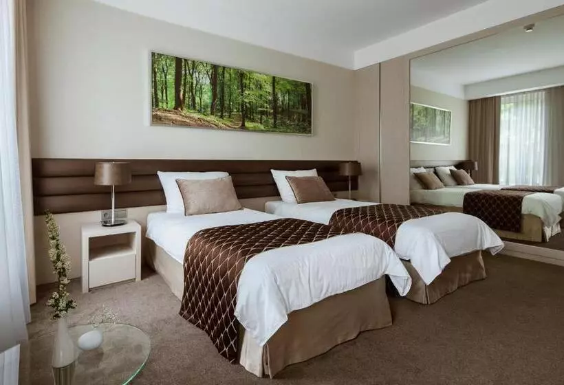 اتاق استاندارد, Narvil Conference & Spa
