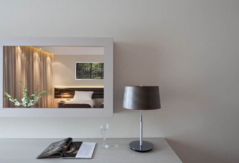 Номер Стандарт, Narvil Conference & Spa