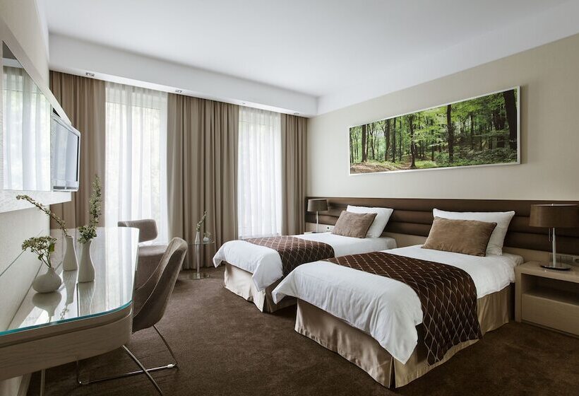 Номер Стандарт, Narvil Conference & Spa