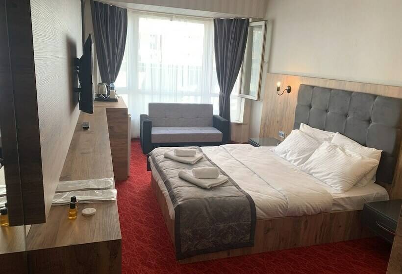 ベーシックルーム, Adanaz Otel