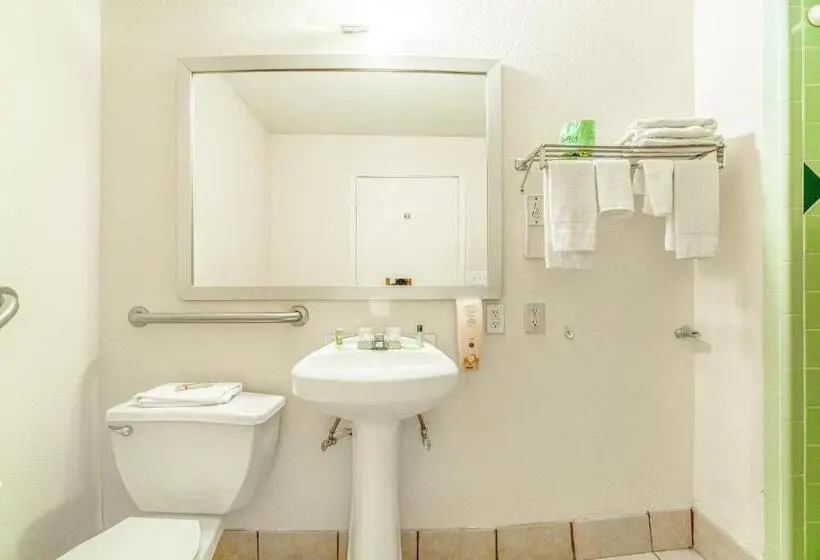 身障者適用キングサイズベッドルーム, Executive Inn Port Lavaca By Oyo