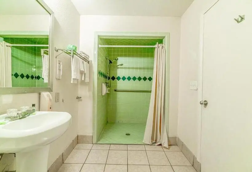 身障者適用キングサイズベッドルーム, Executive Inn Port Lavaca By Oyo