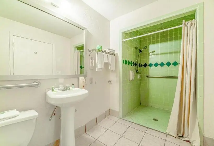 身障者適用キングサイズベッドルーム, Executive Inn Port Lavaca By Oyo
