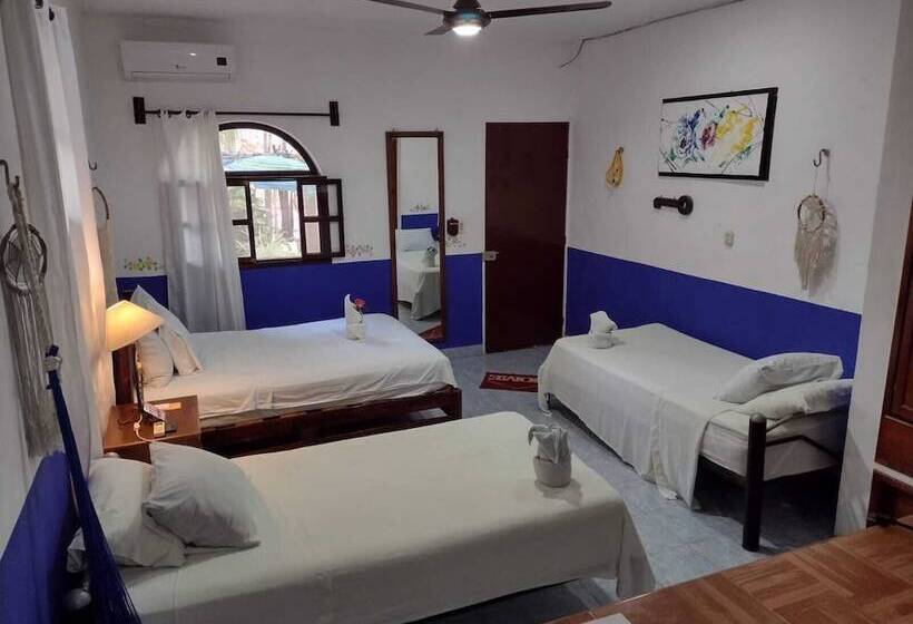 Kertre Néző Classic Szoba, Apartamento La Casa Del Angel