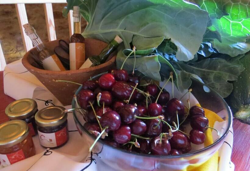 منزل غرفتين نوم, Casas Da Encosta