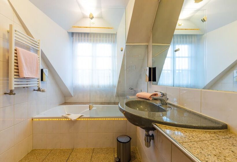 اتاق لوکس یک تخته, Allvitalis Traum