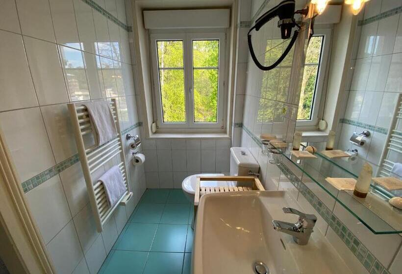 スーペリアールーム, Brit Hotel & Spa Le Roc Au Chien