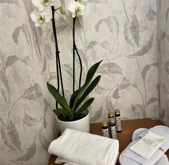 스탠다드 싱글 룸, Embassy