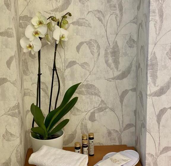 수피리어 룸, Embassy