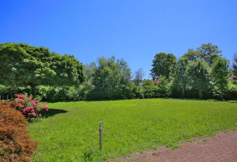 غرفة قياسية فردية, Kick