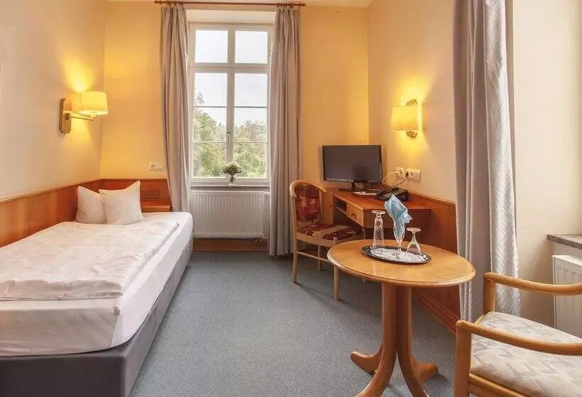 اتاق استاندارد یک نفره, Kurhaushotel Bad Salzhausen