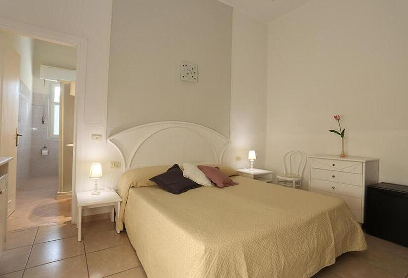 Номер Стандарт, Nettuno