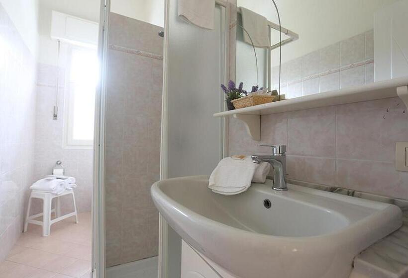 Номер Стандарт, Nettuno