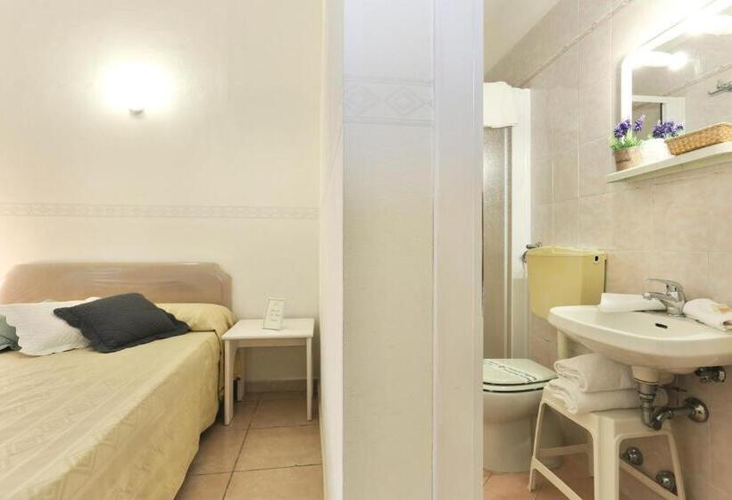 Номер Basic, Nettuno