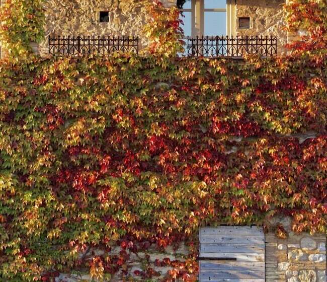 수피리어 룸, Relais Sant Elena