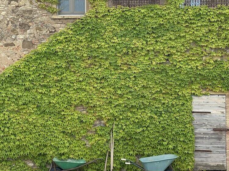 수피리어 룸, Relais Sant Elena