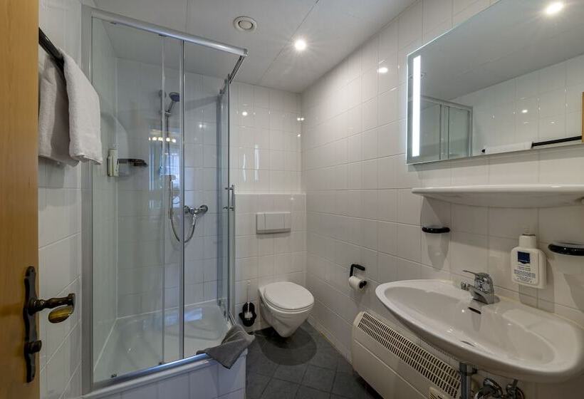 Номер Стандарт Индивидуальный, Landhotel Zum Niestetal