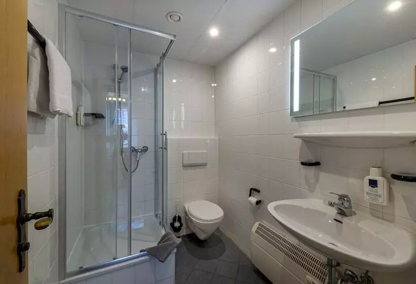 اتاق استاندارد یک نفره, Landhotel Zum Niestetal