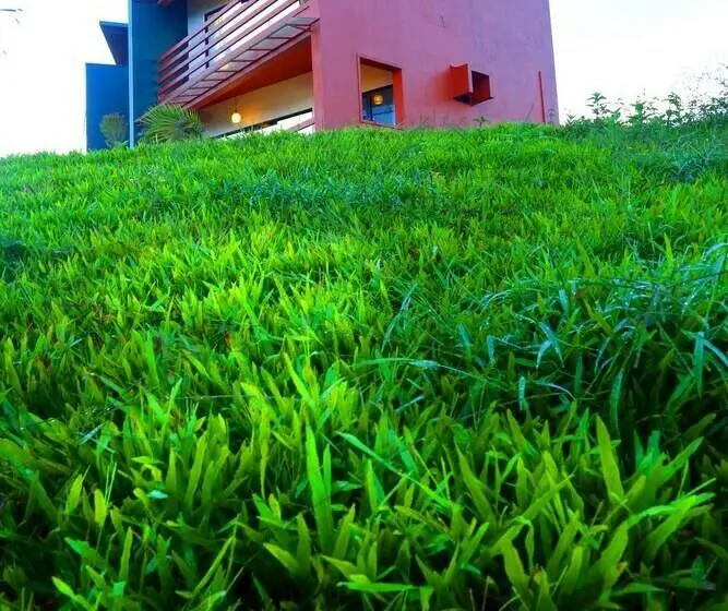 身障者適用スタンダードルーム, Petals Resorts Wayanad