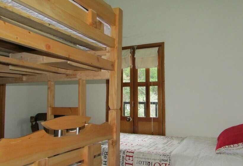 공용 욕실 구비 공동 객실 내의 침대, Tinva Hostal   Hostel