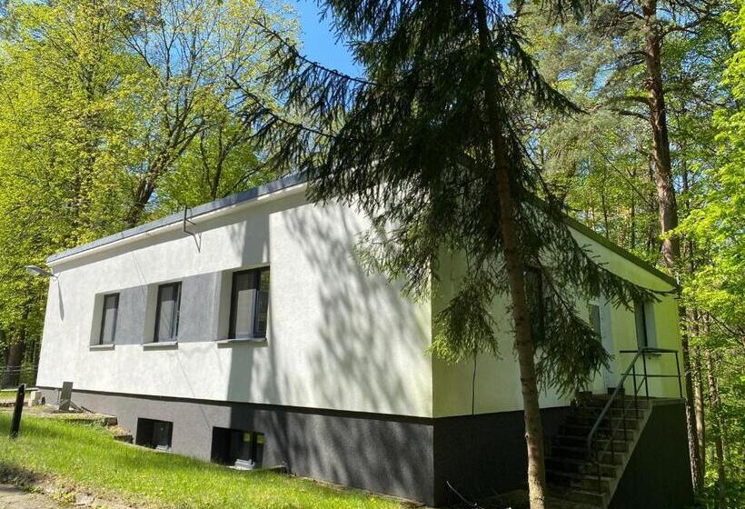 Номер Стандарт Индивидуальный, Sanatorium Uzdrowiskowe Augustów