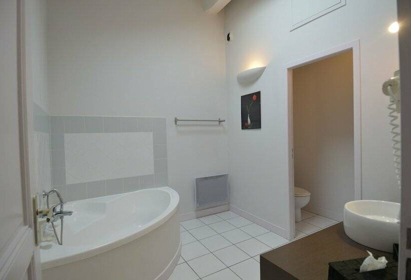 스탠다드 룸, Restaurant Côte Garonne Le Balcon Des Dames   Tonneins Marmande Agen   Chambres Climatisées