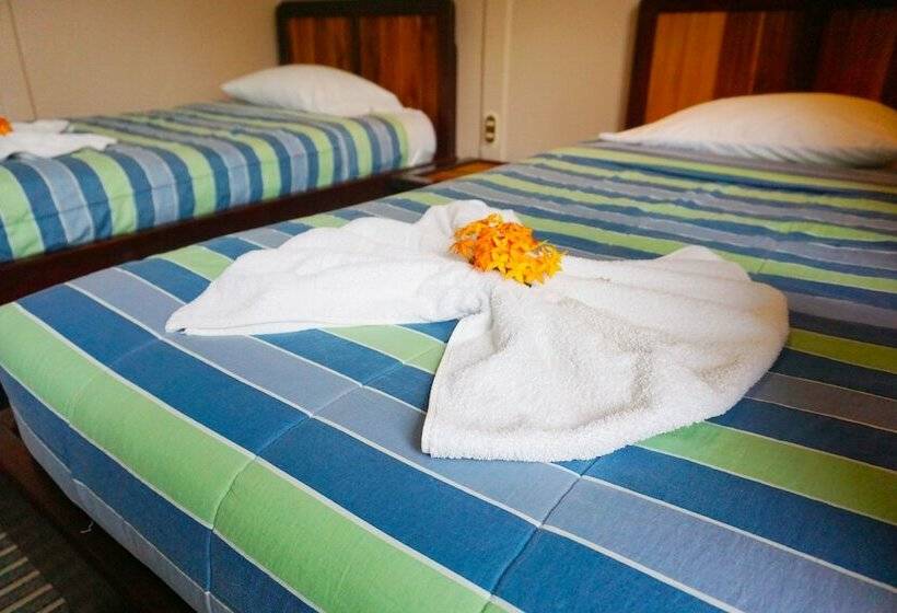 스탠다드 룸, Cabinas Tropicales