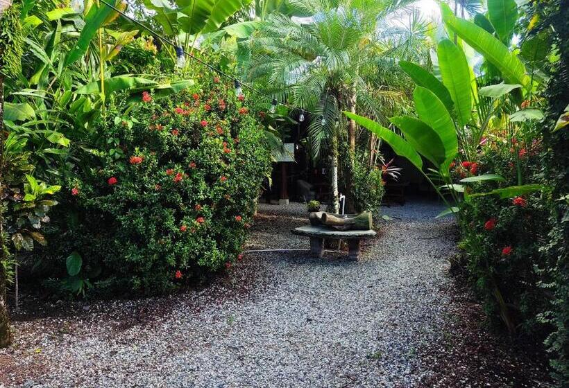 스탠다드 룸, Cabinas Tropicales