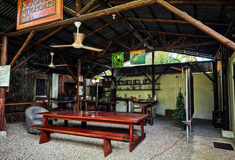 스탠다드 룸, Cabinas Tropicales