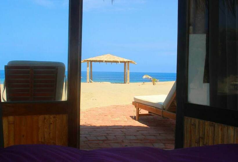 스탠다드 방갈로, Inkawasi Organos