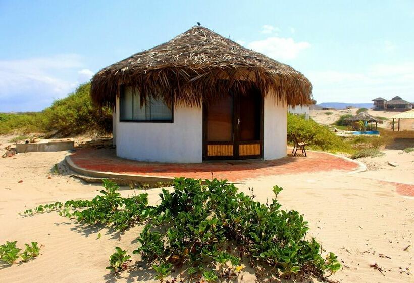 스탠다드 방갈로, Inkawasi Organos