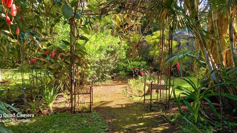 جناح ديلوكس سرير كينج, Schumann S Resort & Park