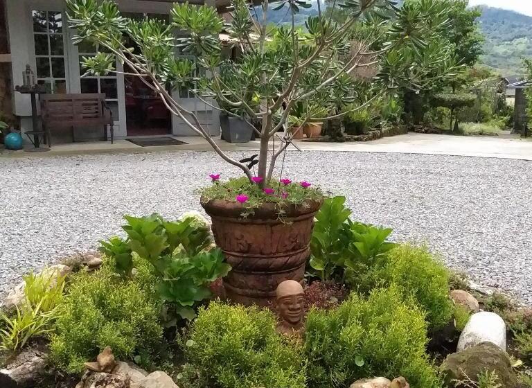 جناح ديلوكس سرير كينج, Schumann S Resort & Park