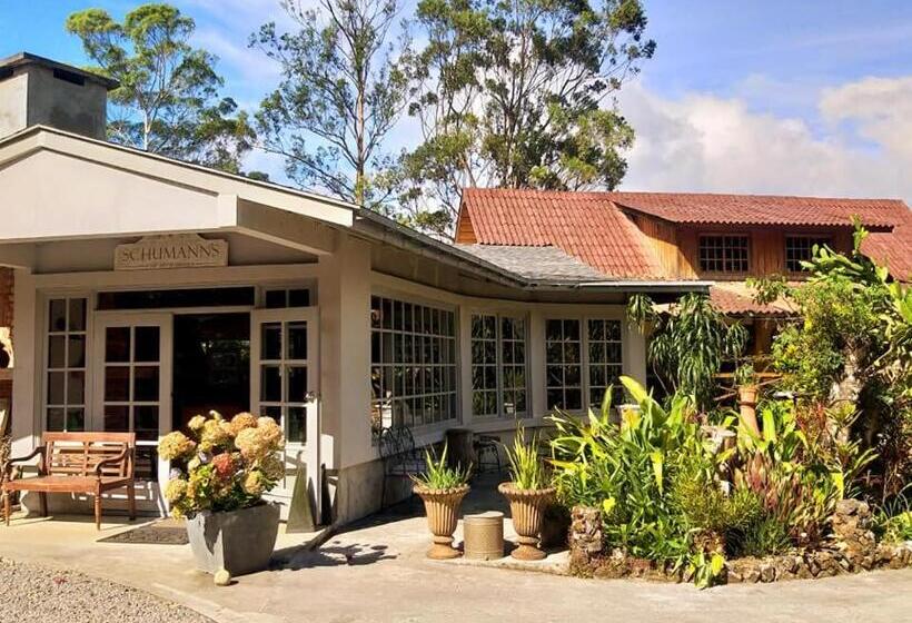 جناح ديلوكس, Schumann S Resort & Park