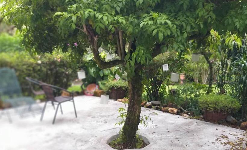 جناح ديلوكس, Schumann S Resort & Park