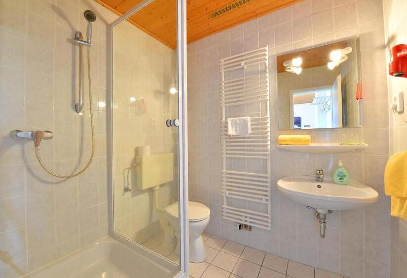 标准单人间, Pension Gambrinus