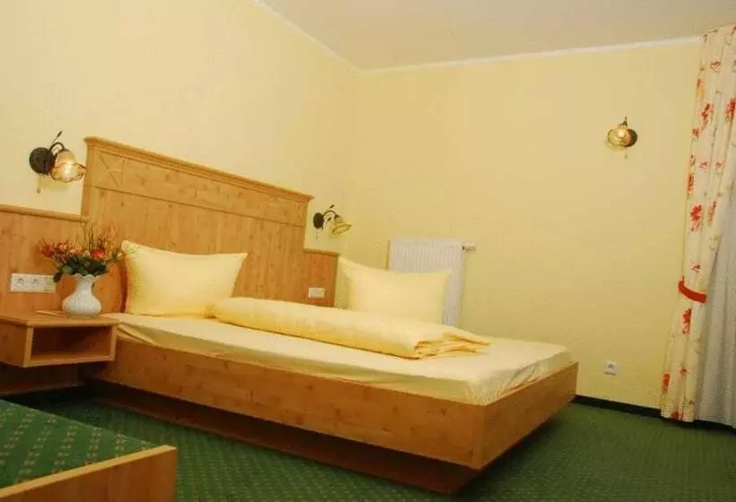 Standard Yhden Hengen Huone, Gasthaus Hotel Adler