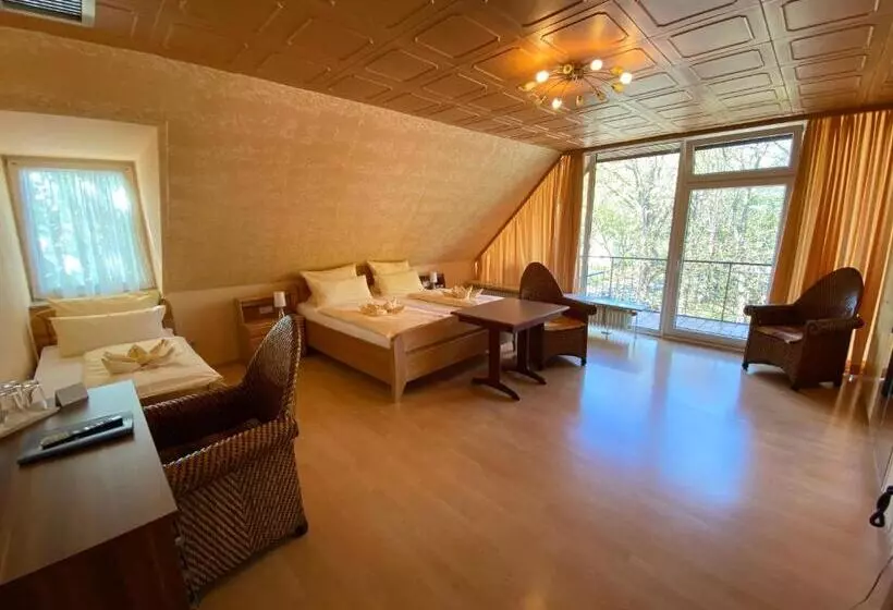 Standard-huone, Heidekönig Hotel Celle