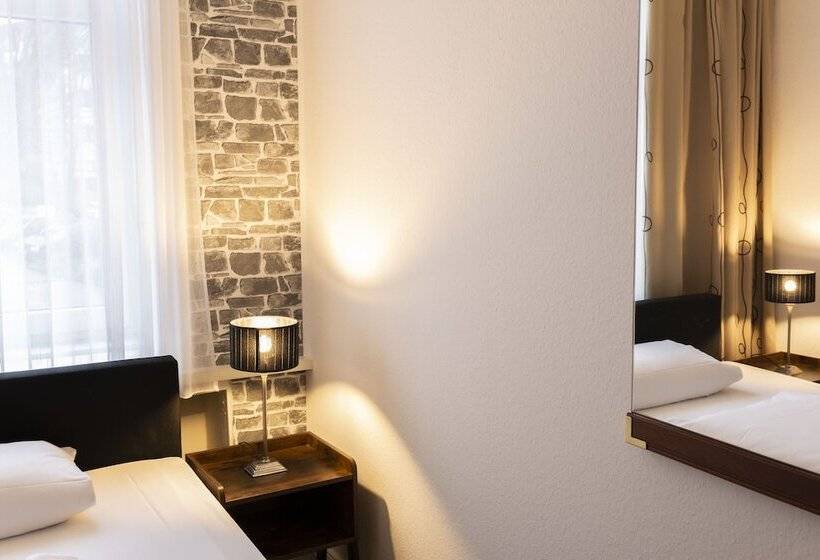 غرفة قياسية فردية, Berliner Hof