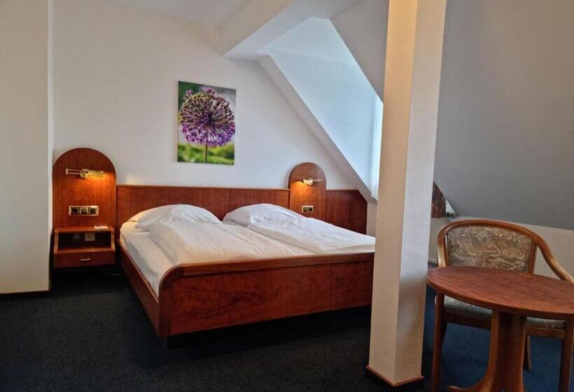 غرفة قياسية, Nassauer Hof