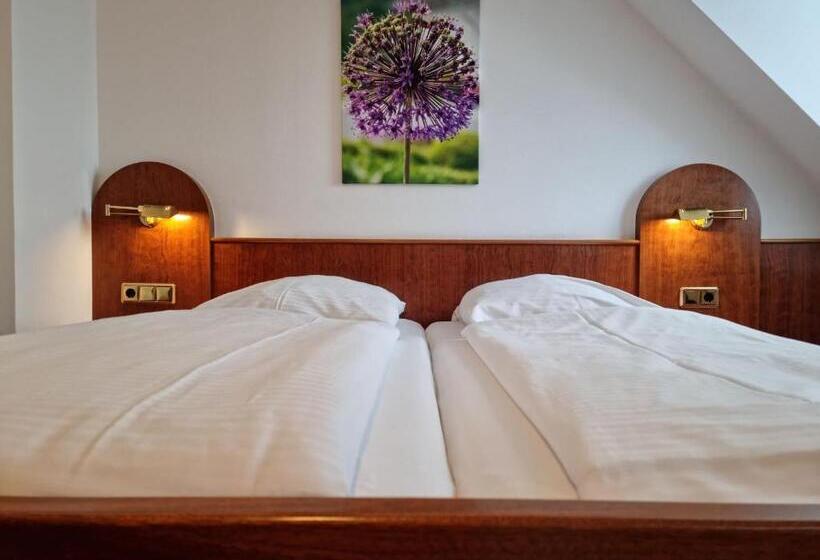 غرفة قياسية, Nassauer Hof