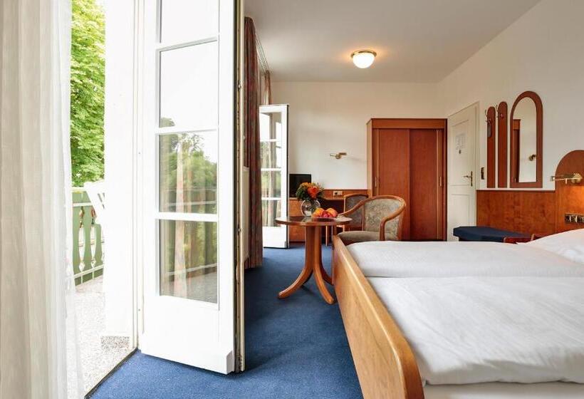 غرفة كومفورت, Nassauer Hof