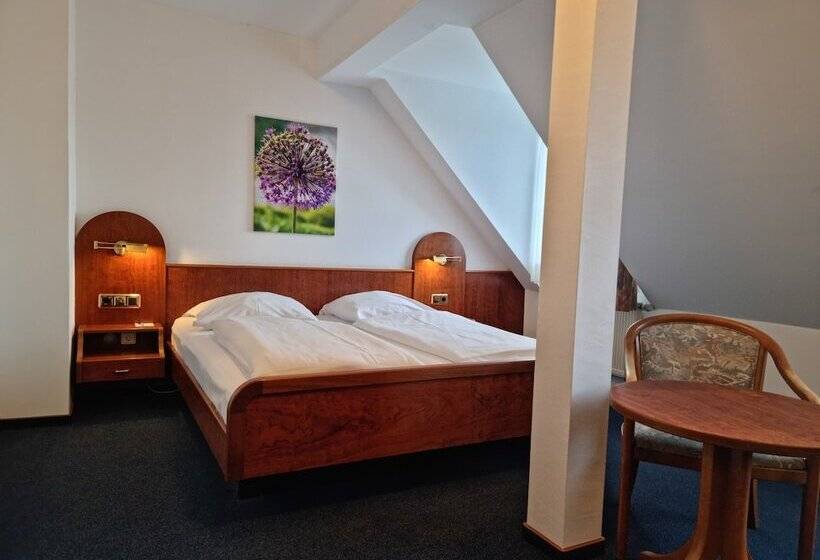 غرفة قياسية, Nassauer Hof