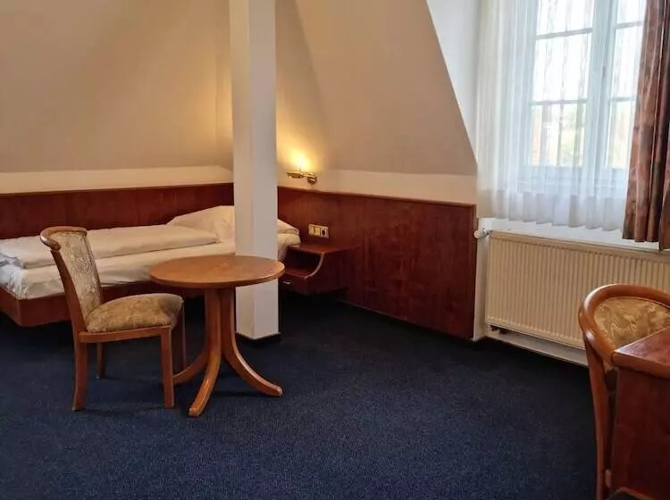Standard Yhden Hengen Huone, Nassauer Hof