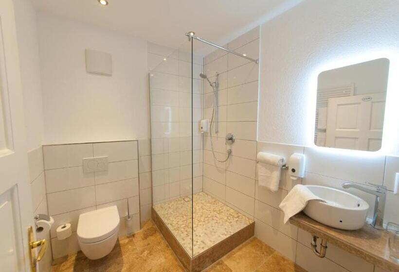 Camera Standard, The Medusa